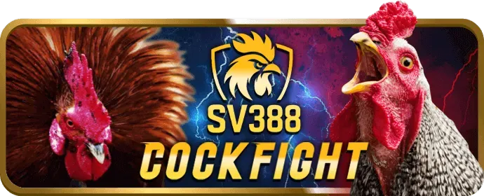 Danh mục đánh giá trò chơi nổ hũ vin55 code